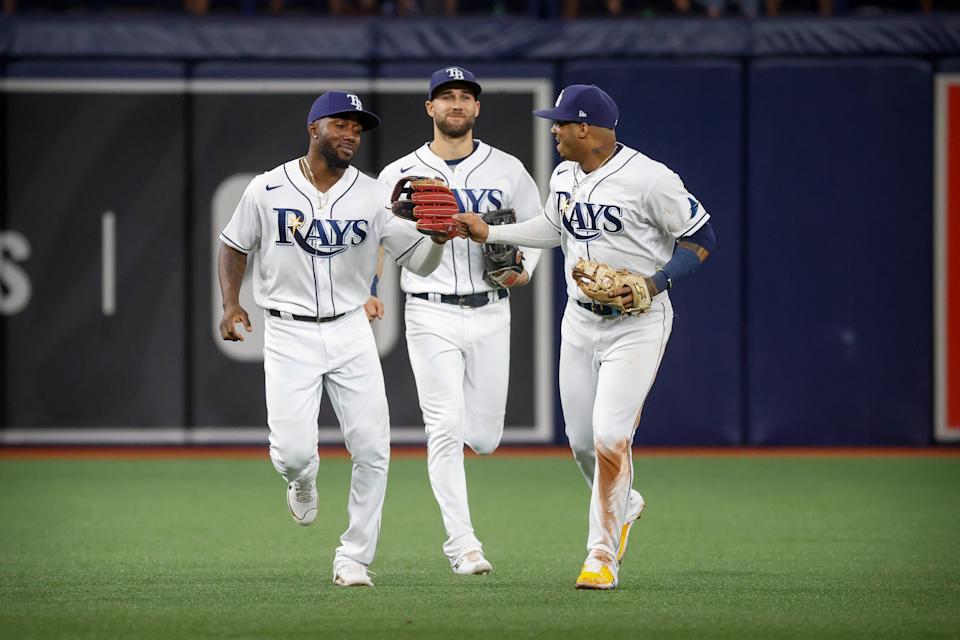 Sister City plan wave of the future, says Rays' owner as he asks: What  happens now?