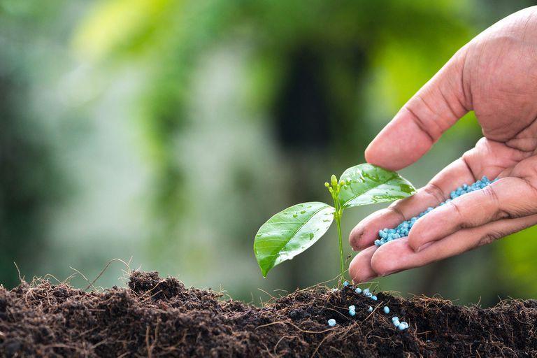 Preservar la materia orgánica es clave para sostener la calidad de los suelos y su capacidad de producción