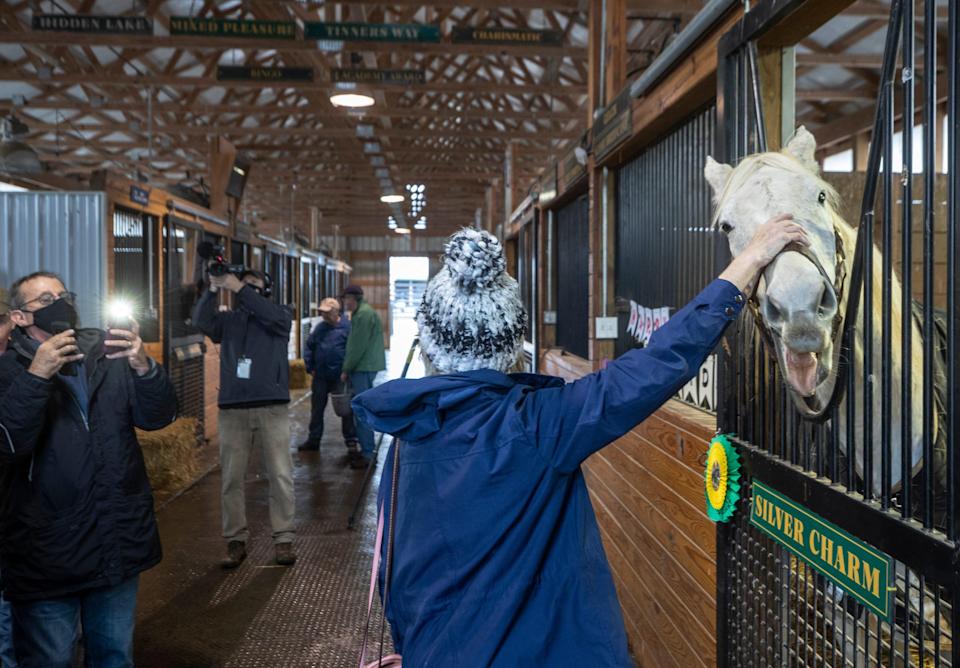 Silver Charm' reacts as a woman rubs his nods during the horse's 28th birthday at Old Friends Farm in Georgetown, Kentucky. Feb. 22, 2022