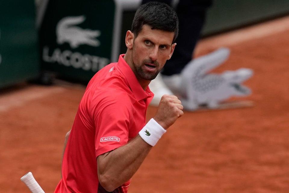 Novak Djokovic was jeered by the crowd (Christophe Ena/AP) (AP)