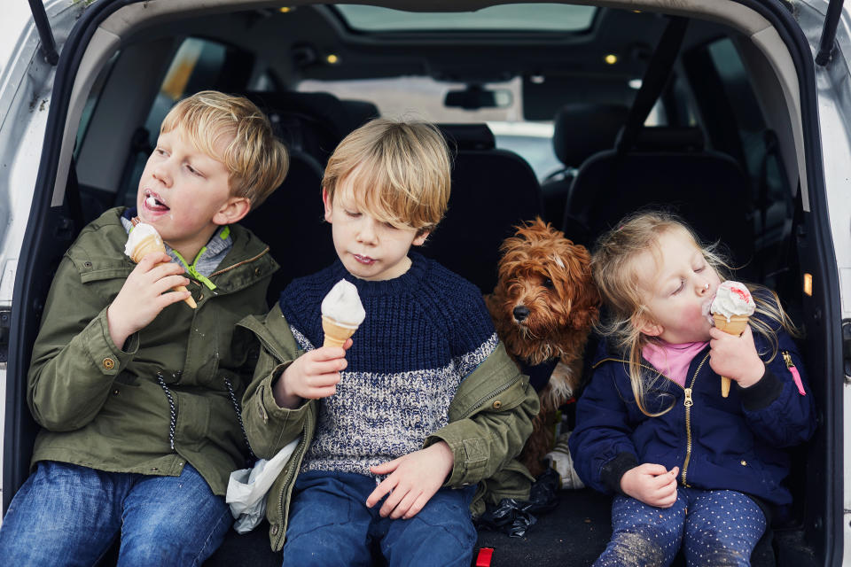 Siblings eating ice cream together in the boot of the car with their pet dog