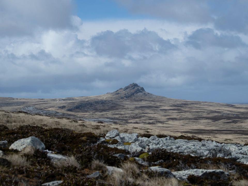 The Falkland Islands is a British overseas territory in the South Atlantic (AFP via Getty)