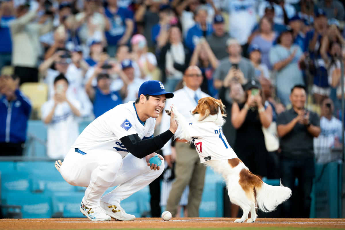 Dodgers’ Ohtani Makes History After Sharing Spotlight With His Dog ...