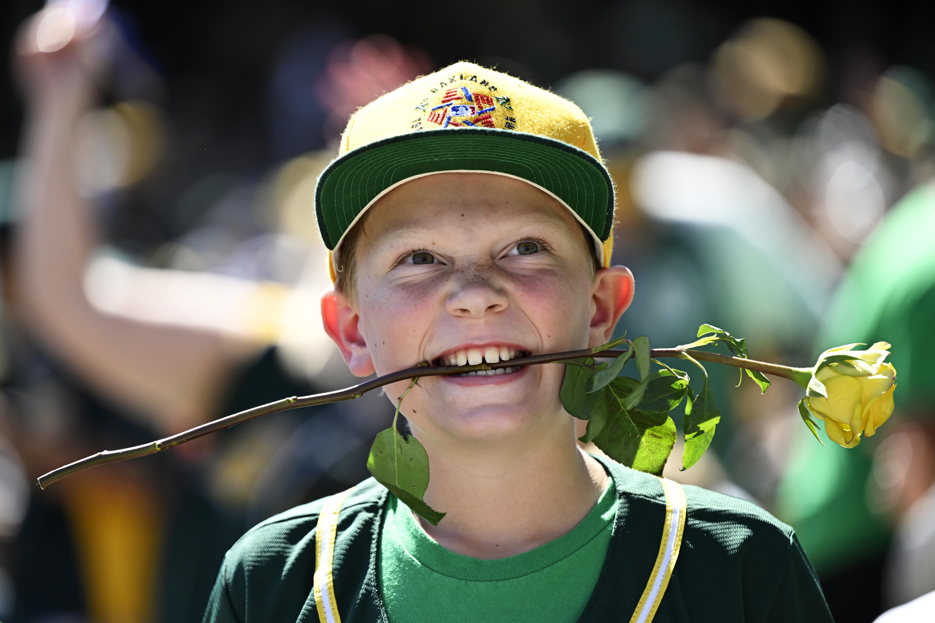 OAKLAND, CALIFORNIA - SEPTEMBER 26: A young fan holds a yellow rose in his mouth during the fifth inning as the Oakland Athletics play the Texas Rangers at the Oakland Coliseum on September 26, 2024 in Oakland, California. (Photo by Eakin Howard/Getty Images)