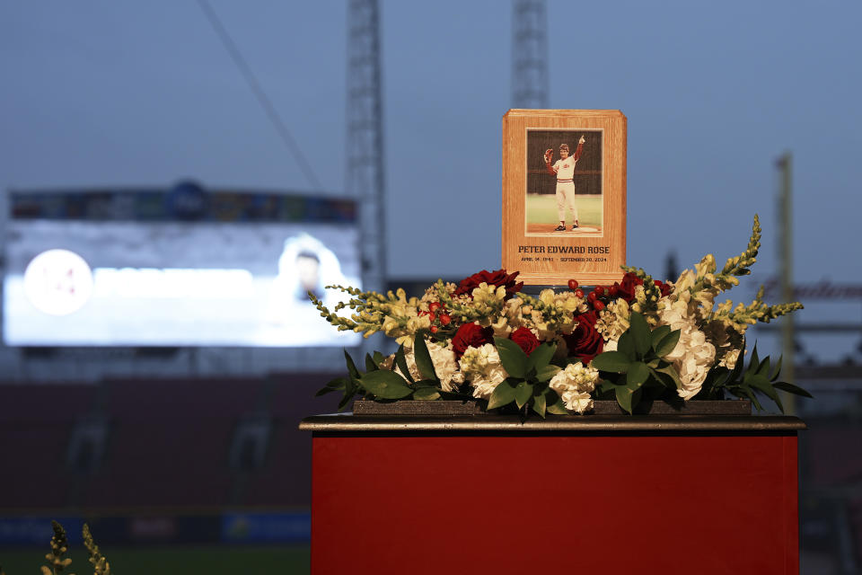 Baseball fans line up to pay their respects to Cincinnati Reds legend Pete Rose during a public visitation, Sunday, Nov. 10, 2024, at Great American Ball Park in Cincinnati. (AP Photo/Kareem Elgazzar)