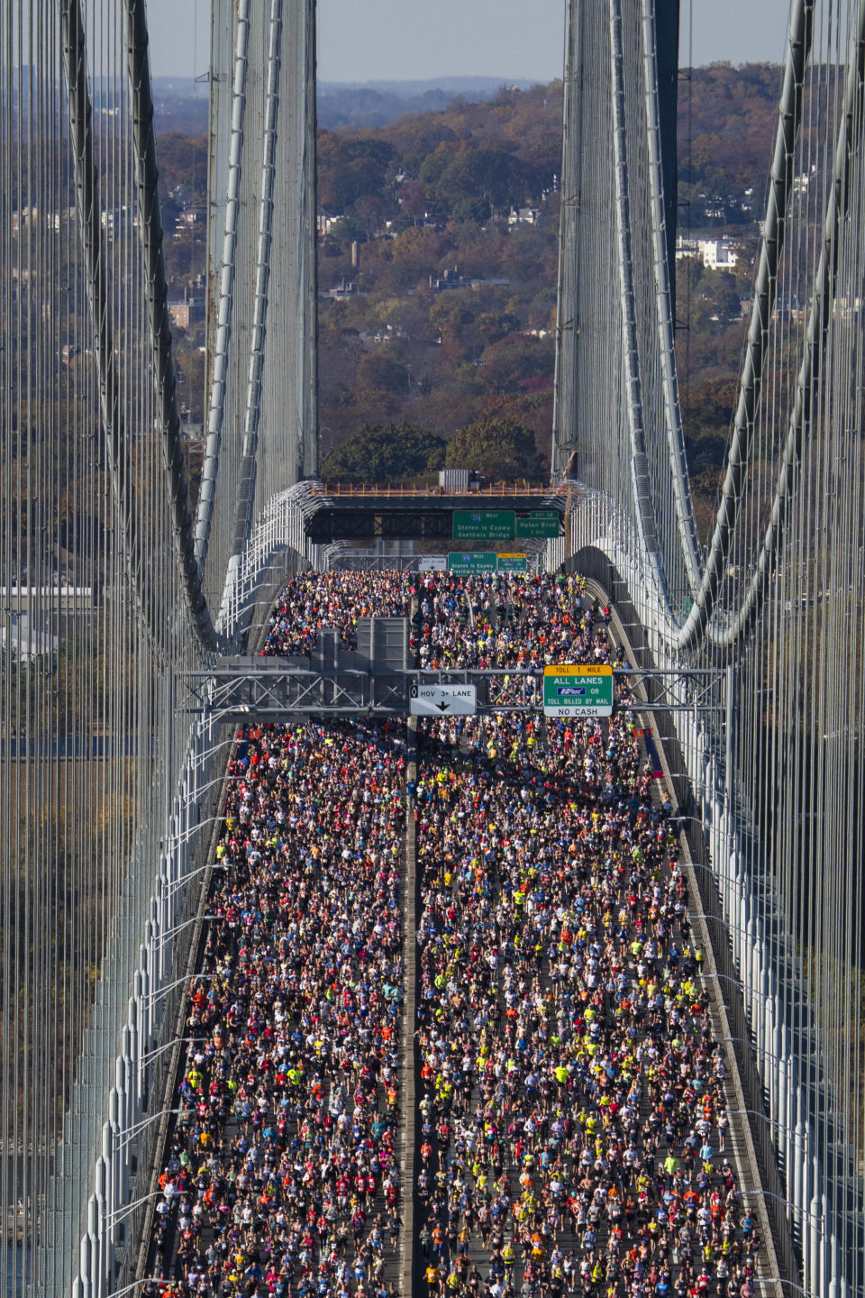 (Craig T Fruchtman/Getty Images)