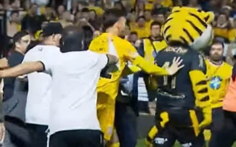 Corinthians mascot getting in a fight